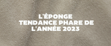 Focus : La matière éponge