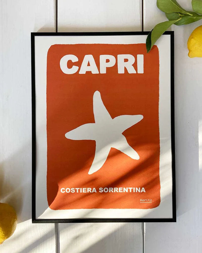 Affiche haritz