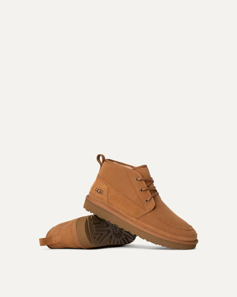 Derbies neumel