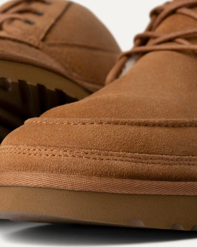 Derbies neumel