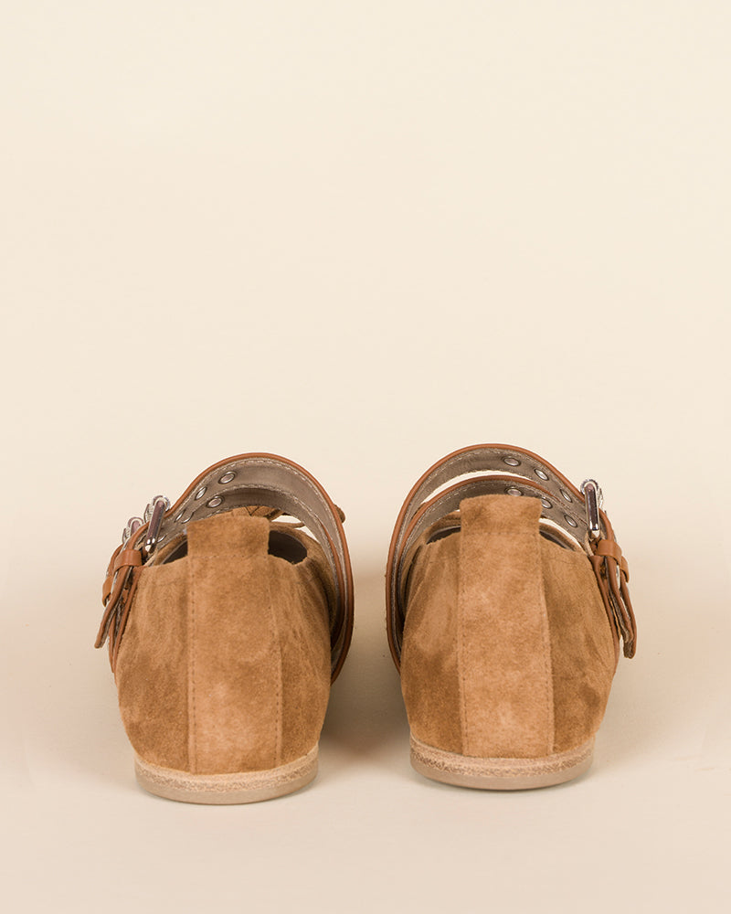 Ballerines kennel and schmenger