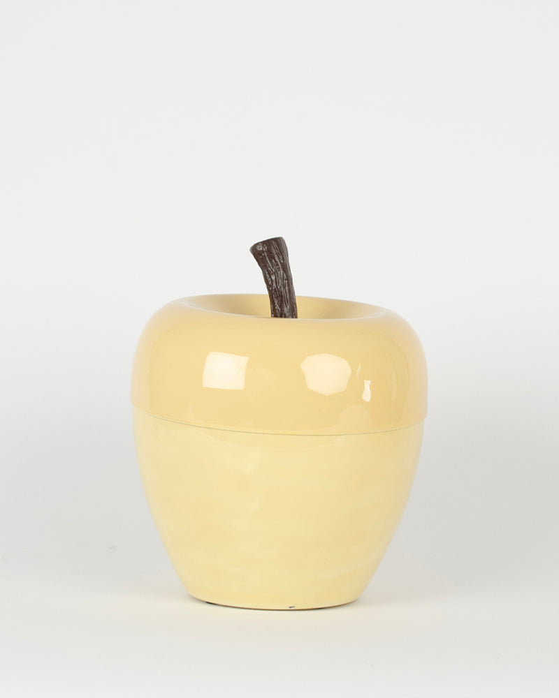 Seau a glacons pomme mm