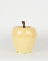 Seau a glacons pomme mm