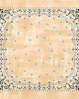 Echarpes & Foulards DESTIN - Foulard destin
