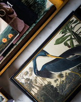 Boite allumettes louisiana archivist