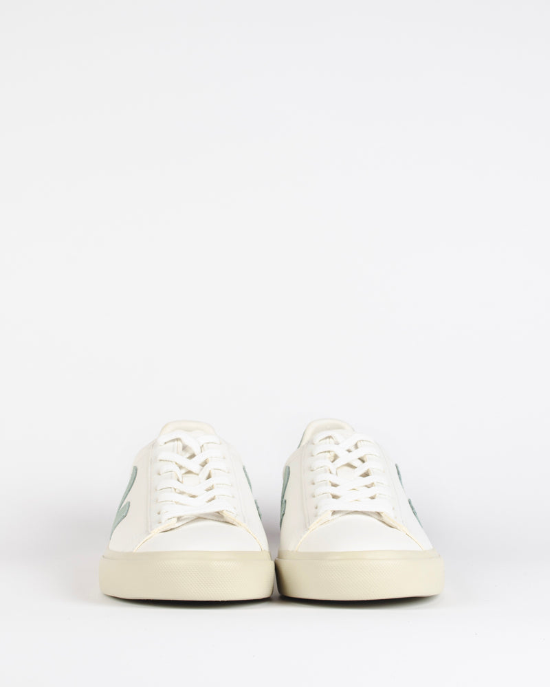 Baskets veja