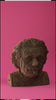 Puzzle albert einstein cartonic