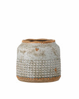 Vase apollo